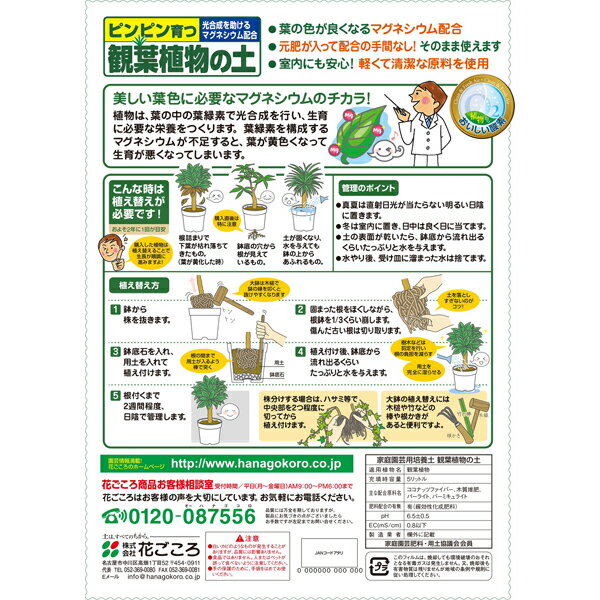 培養土 観葉植物の土 5L 花ごころ 培養土 観葉植物 土 観葉植物 培養土 観葉植物 ...