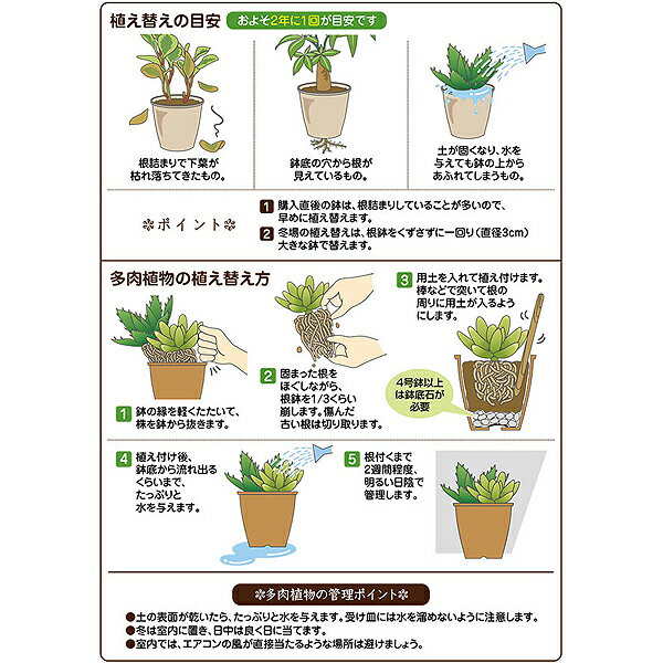 観葉植物 土 多肉植物＆ミニ観葉の土 1L 花ごころ 培養土 多肉植物 土 観葉植物の...