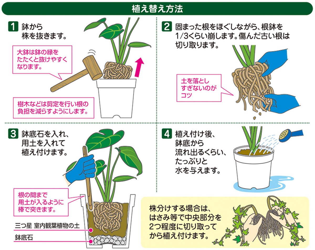 観葉植物 土 三つ星 室内観葉植物の土 10L 花ごころ 培養土 観葉植物の土 園芸用土...