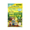 ワイズライフ