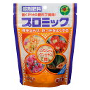 肥料 プロミック錠剤肥料 シンビジューム・クンシラン用 150g ハイポネックス 肥料 花 肥料 草花 肥料 鉢植え 肥料 置き肥 花 置き肥 草花 置き肥