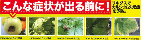 リキダス ストレート 植物用活力液 600ml ハイポネックス 活力剤 植物 活力剤 花 ...