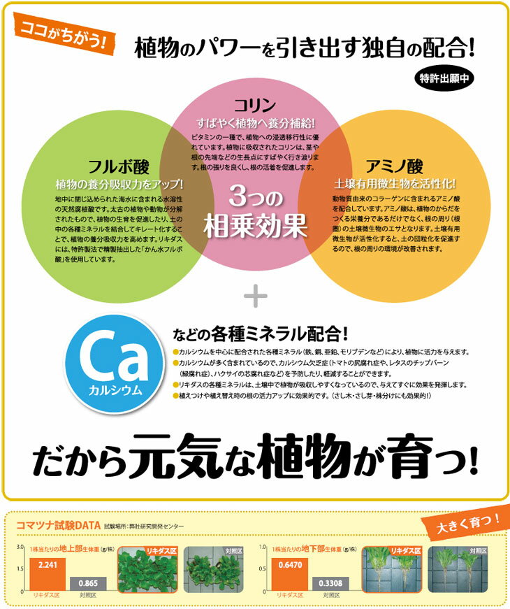 リキダス 植物用活力液 800ml×20本 ハ...の紹介画像2