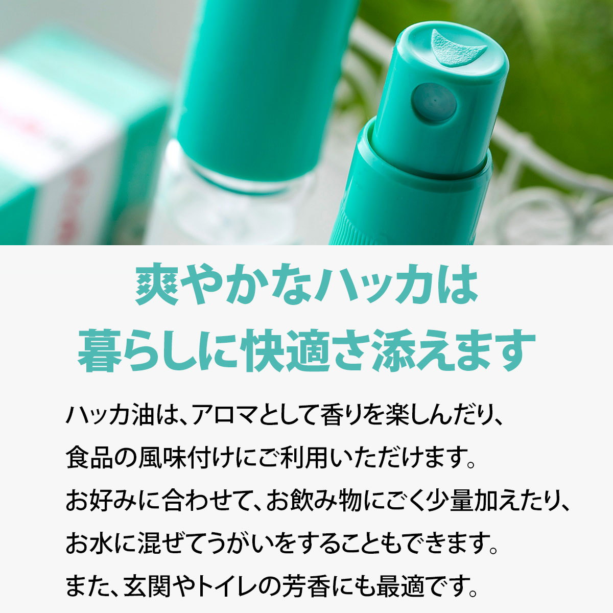 サンプル画像3