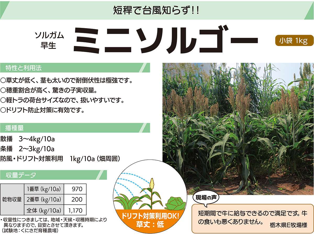 ���륬�� �ߥ˥��르�� 20kg (1kg��20��) ���ͥ����� ���� �� ���� ��� ���르�� �� ���르�� ��� ���� ��̳�� ��� ���� ��̳�� �� ���르���μ�