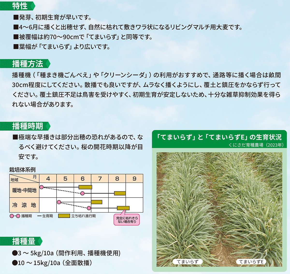 �����८ �Ƥޤ��餺E 1kg ���ͥ����� ��ӥ󥰥ޥ�� �������� ���� �� ���� ��� �ھ����� �����८ �����Ѽ�� ������ ���� �� ���� ���