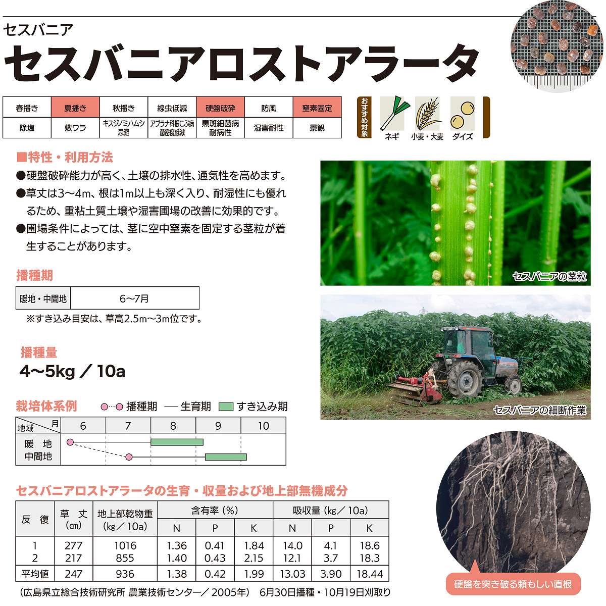 セスバニア セスバニアロストアラータ 20kg (1kg×20袋) カネコ種苗 緑肥 種 緑肥 ...
