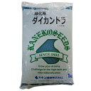 緑化用 草本 サザンカ 果皮付 日本産 種 1kg 種のみの販売 侵食防止 緑化 法面 種子 紅大 共B 代引不可 個人宅配送不可