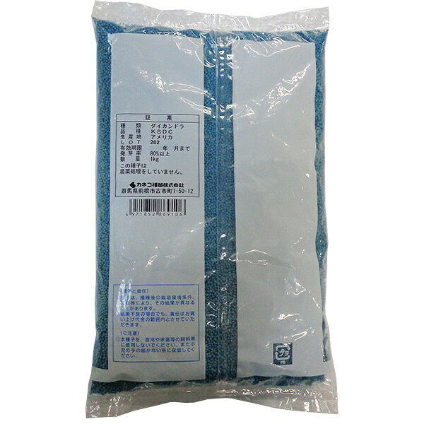 グランドカバー ダイカンドラ 1kg カネコ種苗 景観用種子 ダイカンドラ 種 ディコ...