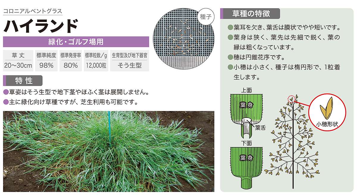 �����˥���٥�ȥ��饹 �ϥ����� 20kg (1k��20��) ���ͥ����� �����μ� �Ǥμ� �� �� �� ��� ���� �� ���� ��� �����μ�� �Ǥμ�� ��̳�� �� ��� ��̳��