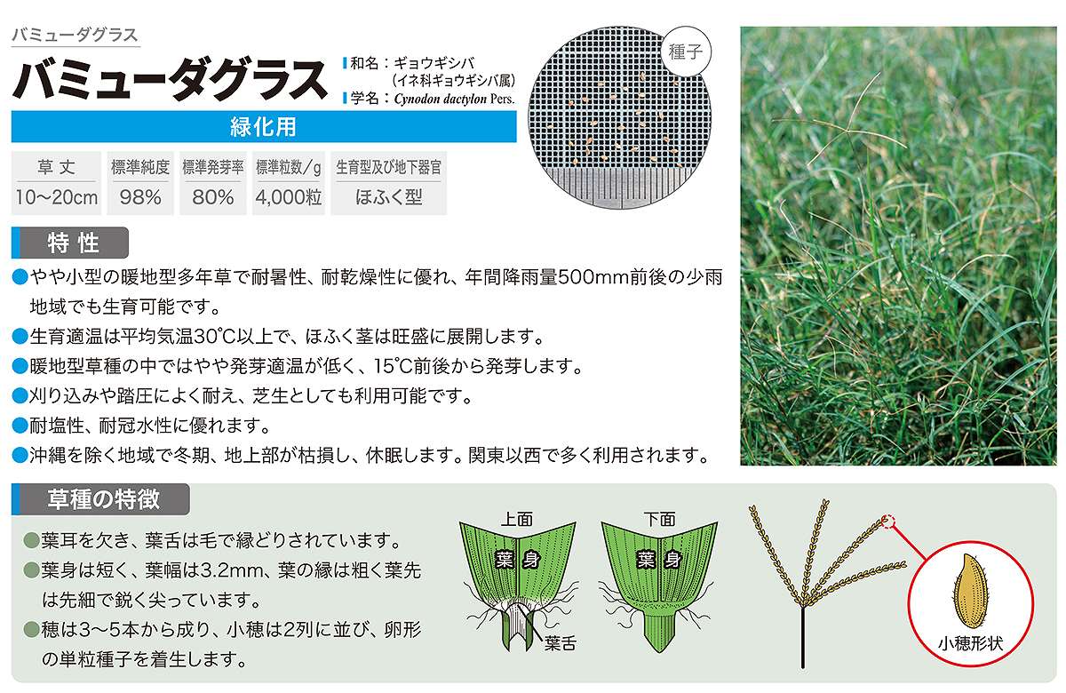 �Хߥ塼�����饹 20kg (1kg��20��) ���ͥ����� �� �� �� ���� �� ���μ� �� ��� �� ��� ���� ��� ���μ� ��� �Ǥμ� �����μ� ���μǤμ� ���Ϸ� �в���