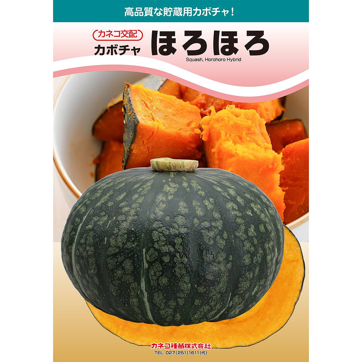 乐天商城 - 大容量 営利種 カネコ交配 ほろほろ カボチャ 1000粒 カネコ種苗 カボチャ 種 カボチャ 種子 南瓜 種 南瓜 種子 野菜 種 野菜 種子 野菜の種 野菜の種子