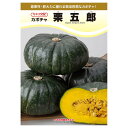 大容量 営利種 カボチャ 栗五郎 100粒 カネコ交配 カネコ種苗 野菜種子 カボチャ種子 野菜種 種子 野菜 種 野菜 種子 野菜の種 カボチャ 種 カボチャ 種子