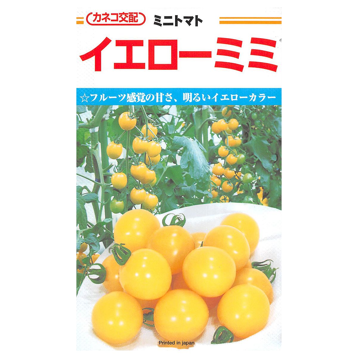 大容量 営利種 ミニトマト イエローミミ 100粒 カネコ交配 カネコ種苗 野菜種子 ミ...