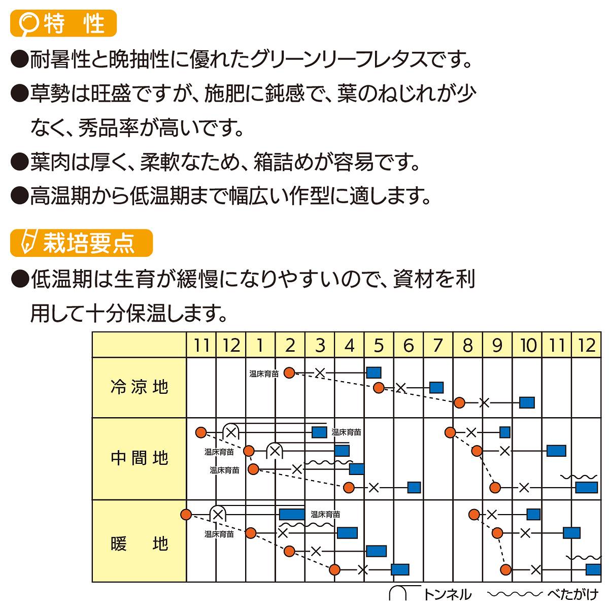 大容量 営利種 グリーンスパン レタス ペレット5000粒 カネコ種苗 レタス 種 レタ...
