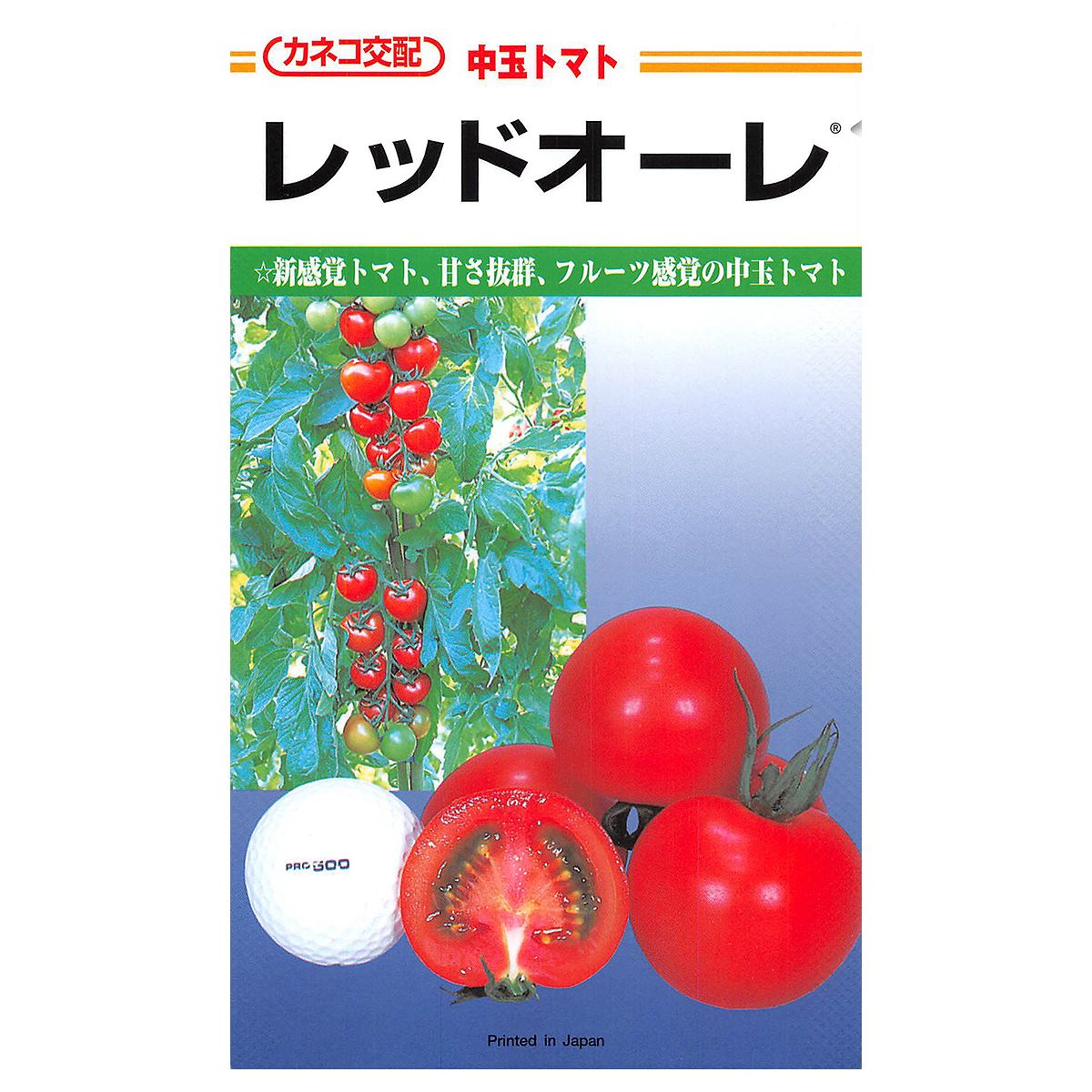 大容量 営利種 レッドオーレ 中玉トマト 1000粒 カネコ交配 カネコ種苗 野菜種子 トマト 種 トマト 種子 中玉トマト 種 野菜 種子 野菜 種 野菜の種 トマトの種