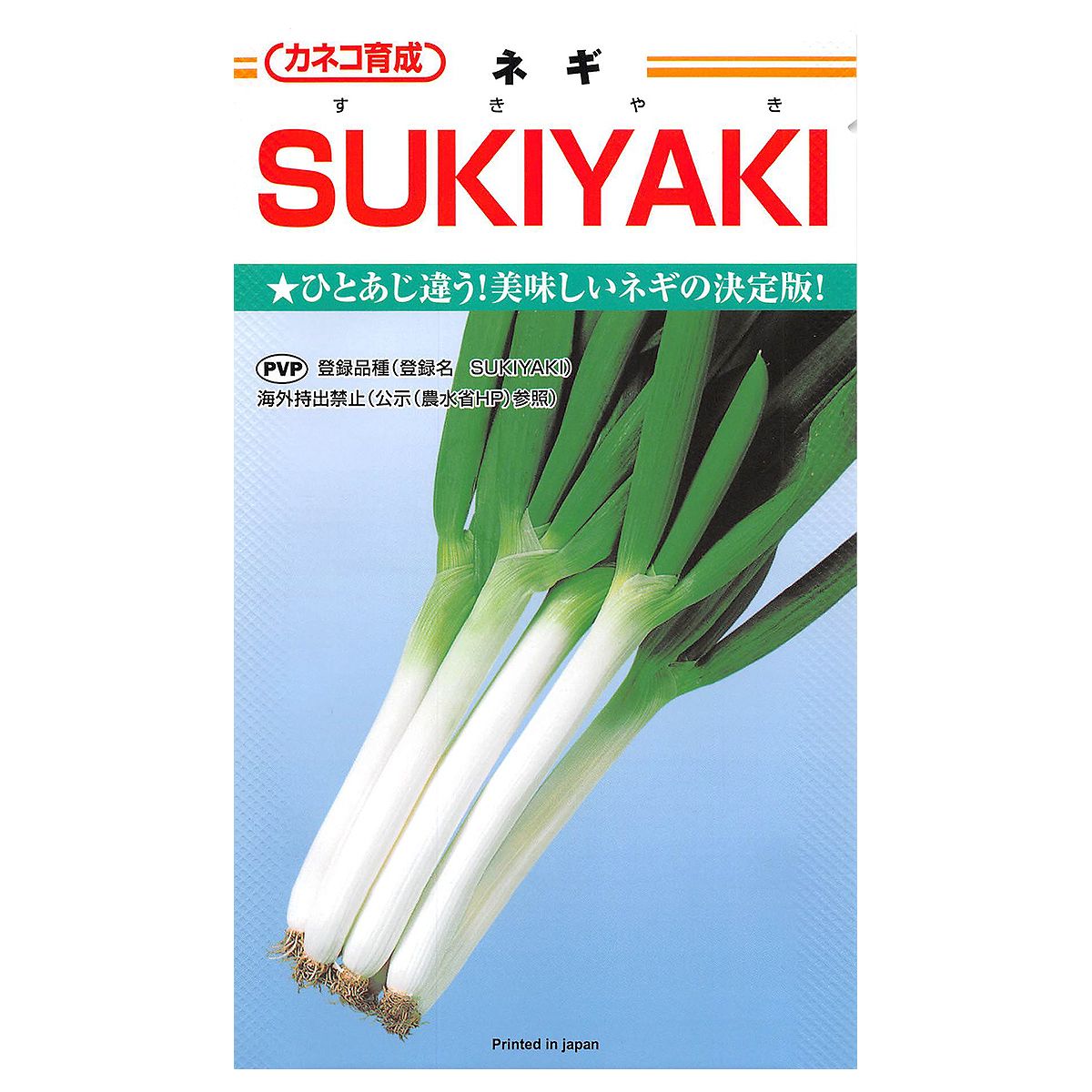 【楽天スーパーSALE対象 10％OFF】大容量 営利種 SUKIYAKI(すきやき) ネギ 2dl カネコ育成 カネコ種苗 野菜種子 野菜 種 野菜 種子 野菜の種 野菜 ネギ 種 野菜 ネギ 種子 葱 種 葱 種子