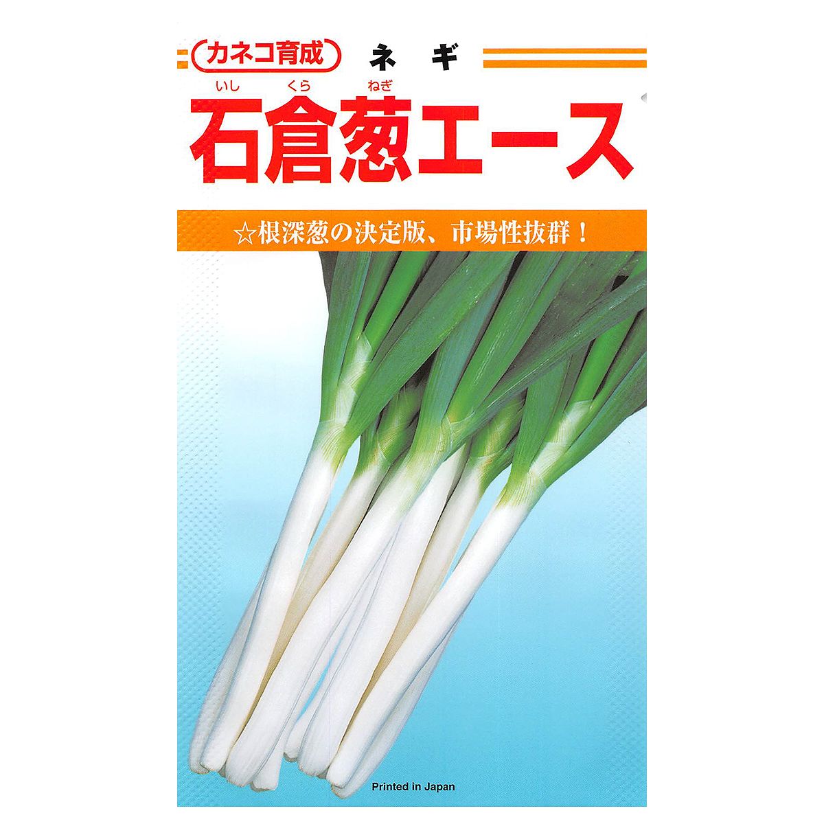 【楽天スーパーSALE対象 10％OFF】大容量 営利種 石倉葱エース 2dl カネコ育成 カネコ種苗 野菜種子 野菜 種 野菜 種子 野菜の種 野菜 ネギ 種 野菜 ネギ 種子 葱 種 葱 種子