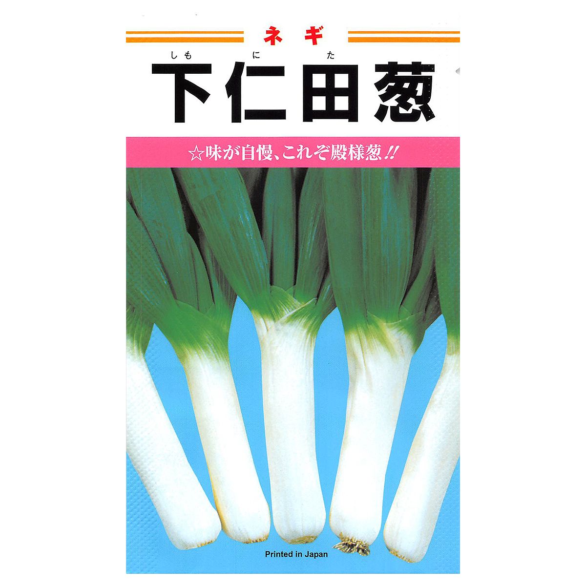 【楽天スーパーSALE対象 10％OFF】大容量 営利種 下仁田 ネギ 2dl カネコ種苗 野菜種子 野菜 種 野菜 種子 野菜の種 野菜 ネギ 種 野菜 ネギ 種子 葱 種 葱 種子 家庭菜園 野菜 種