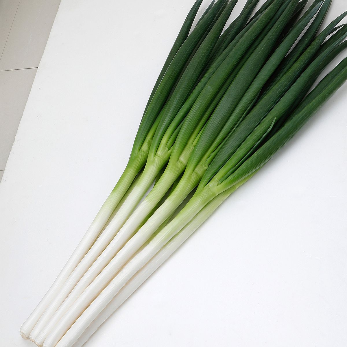 【楽天スーパーSALE対象 10％OFF】大容量 営利種 白翆(はくすい) ねぎ 20ml カネコ種苗 野菜種子 野菜 種 野菜 種子 野菜の種 野菜 ネギ 種 野菜 ネギ 種子 葱 種 葱 種子