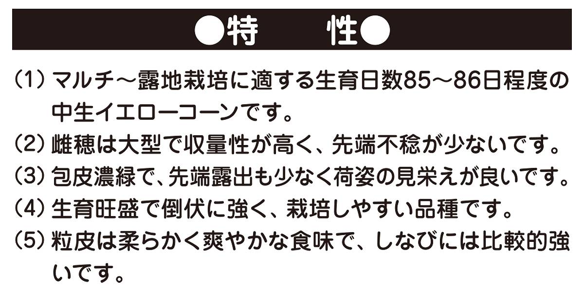 大容量 営利種 一代交配 わくわくコーン86スーパー トウモロコシ 2000粒 カネコ種...