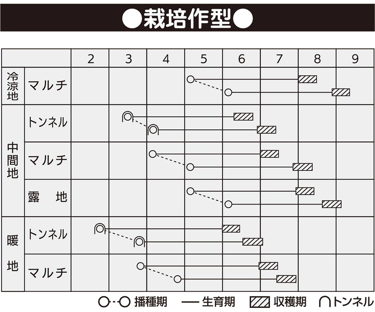 大容量 営利種 一代交配 わくわくコーン86スーパー トウモロコシ 2000粒 カネコ種...