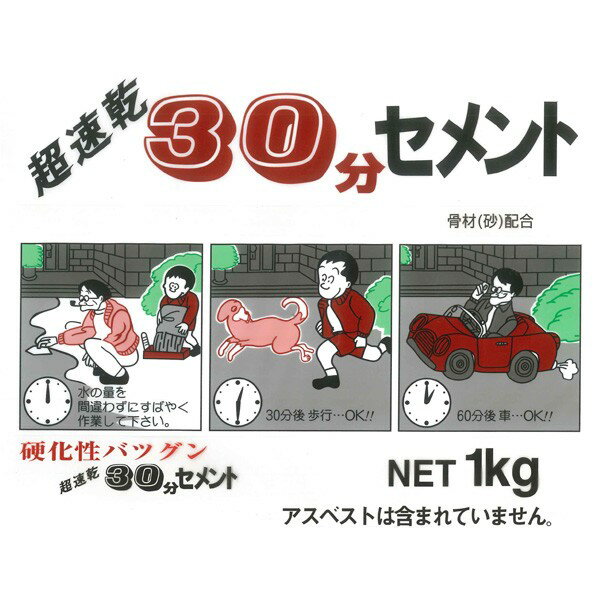 セメント 超速乾30分セメント ホワイト 1kg 家庭化学 セメント 補修 モルタル レン...