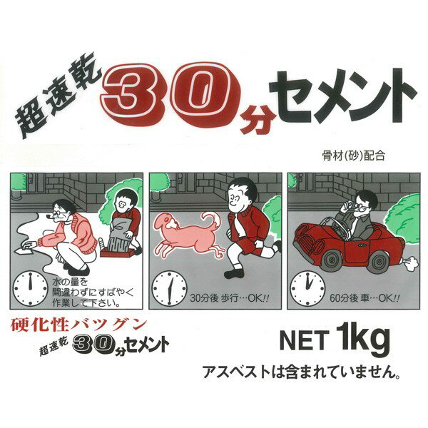 まとめ買い 10袋入 超速乾 30分セメント グレー 1kg 家庭化学 2