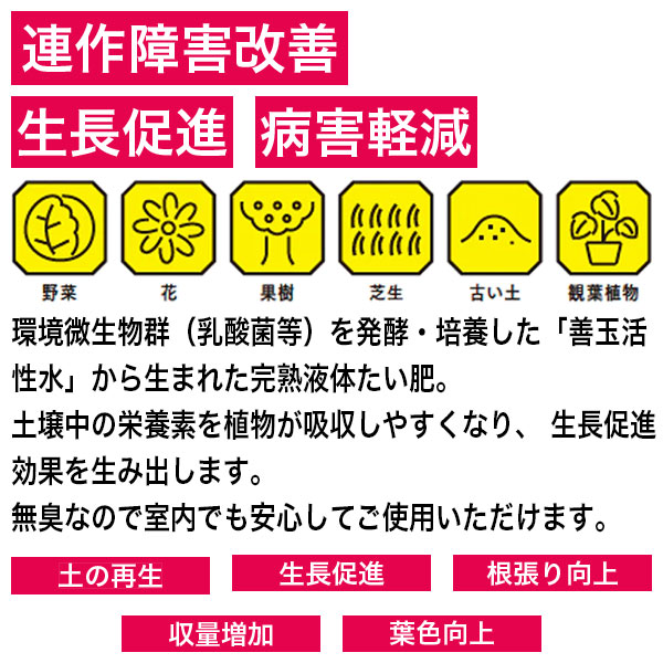 ���� �ڤ��������� 1L��3�� �Ķ����� ���Τ����� ���� ���� ��� ���� �� ���� ���� ��ʪ ��Ĺ¥�� �ھ����� Ϣ��㳲���� �³��ڸ� �����ڱ� ���� Ȫ ����