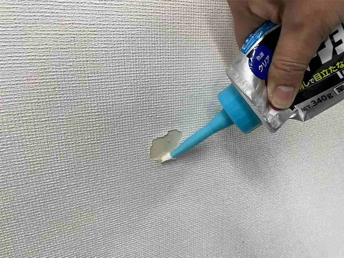 �������� �ܥ�� �����ѡ����祤���X �ۥ磻�� 500g ���˥� �������󥰺� �������󥰺� ŷ�� ���� �ɥ��� ��̳�� ����������Ͻ��Ƥ�� �佤