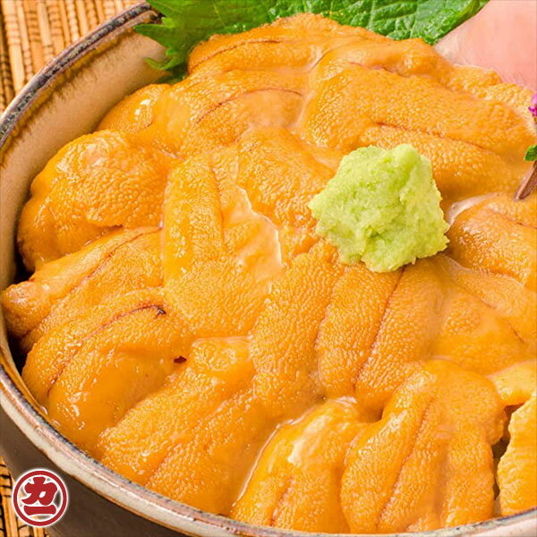 エゾバフンウニ 2パック (1パック100g入×2) 全国送料無料 冷凍