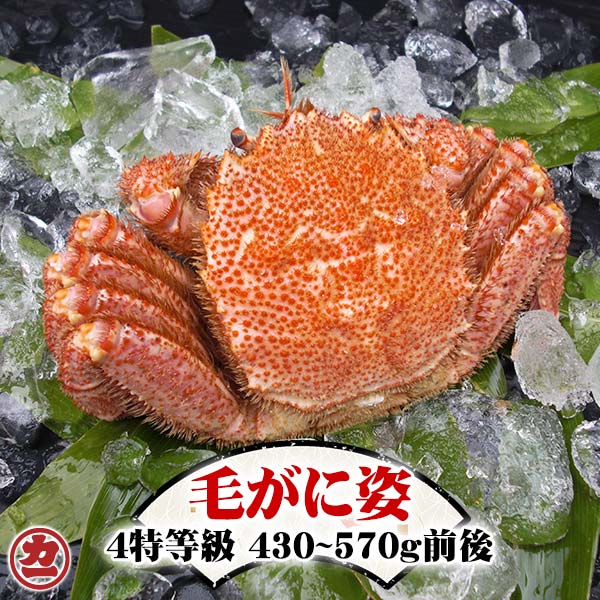 楽天市場】毛ガニ 4特の通販 楽天市場】毛ガニ 4特の通販