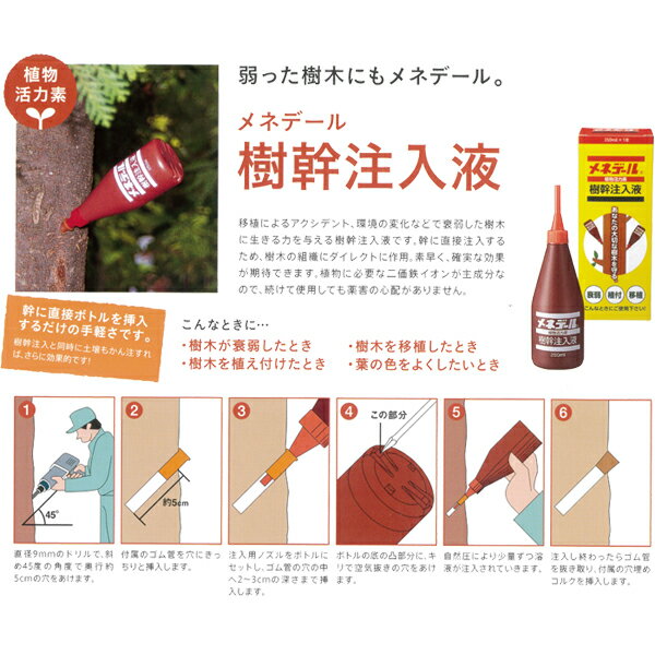 メネデール 樹幹注入液 250ml 植物活力素 活力剤 樹木 活力剤 活力液 樹木 活力液 ...