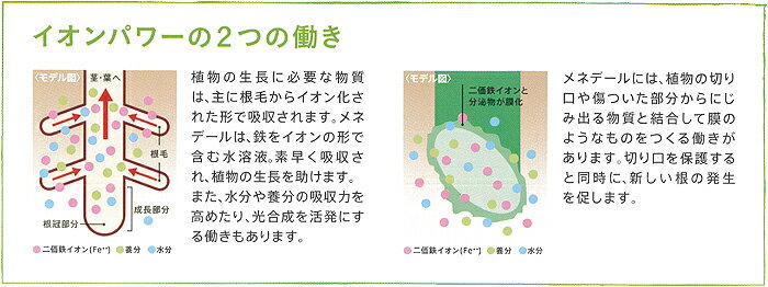 メネデール 200ml 植物活力素 活力液 野菜 活力液 花 活力液 観葉植物 活力液 活力...