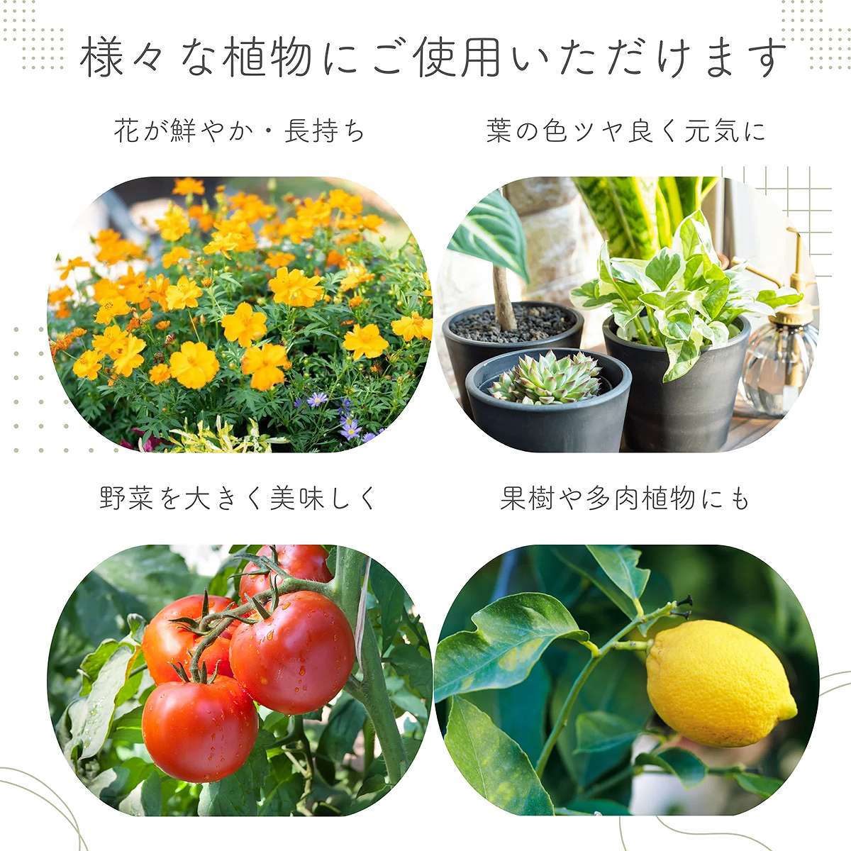 肥料 水でうすめる有機液肥 詰替え用 400ml 日東エフシー 自然暮らし 肥料 観葉植...