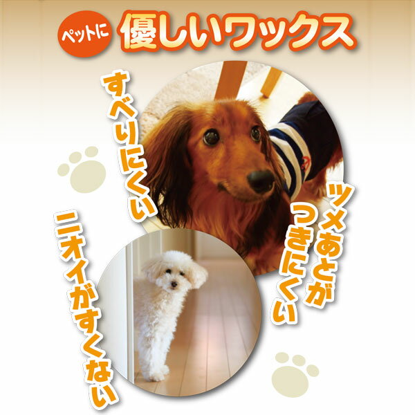 �ե�����󥰥�å��� ���ڡ������㥤�� ���٤�ʤ���� ��å��� 18L �����֡��ƥå� ����å��� �ե������ ��å��� �� �ե��������ƥ��� �ݽ�