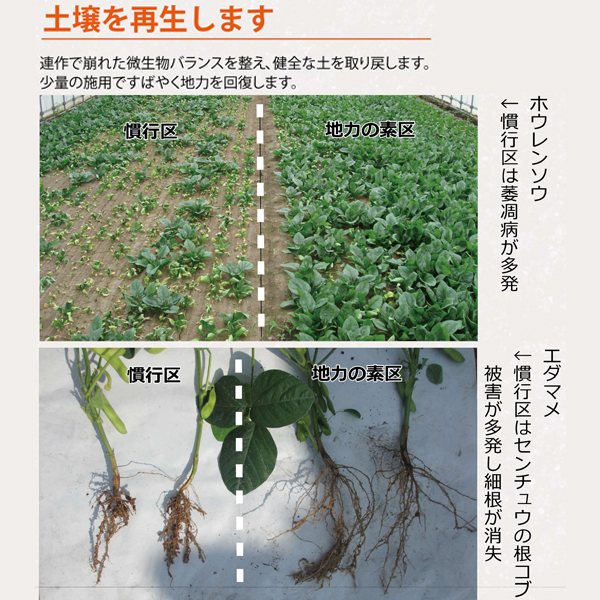 ���Ϥ��� ���ʥǥ�����եߥ�ꥭ�å�12 20L PIC-BIO �ھ����ɻ�� ��̳�� �ھ����ɺ� �ե�ܻ� ���ϱ� �忢�� ���ϱ� ����ʪ��� �ե�ܻ����ϱ� ����ʪ�ɷ��