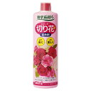 切花延命剤 レインボー 切り花延命剤 480ml レインボー薬品 バラ苗 切り花 延命剤 菊 苗 バラ 活力延命剤 切花 活力剤 花瓶 鮮度保持 防腐剤 pH調整剤