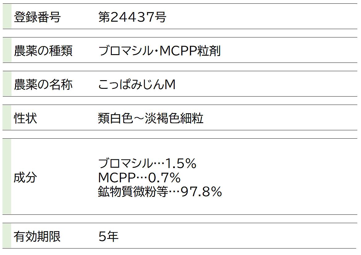 ����� ���äѤߤ���M 3kg��6Ȣ (���äѤߤ���W�����) �쥤��ܡ����� ����� ��γ ����� ���� ����� ���äѤߤ��� ����� γ�� ����� �֥��ޥ��� �����