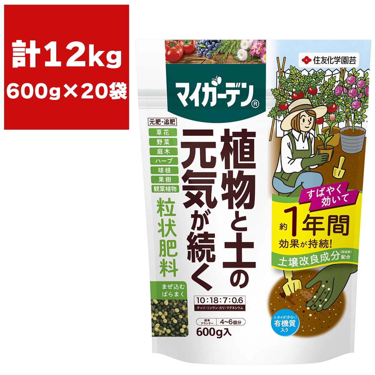 成分 N:P:K:Mg＝10:18:7:0.6保証票の種類指定配合肥料 生産業者保証票剤型：粒状商品特長植物の生育にあわせて効く(リリースコントロールテクノロジー)暖かく生育が盛んな時は多めに、寒くて生育が緩やかな時は少なめに、土の温度と水分で肥料の溶け出す量をコントロールします。必要な時に必要な分だけ植物に吸収されるので、無駄なく環境にもやさしい肥料です。元肥・追肥に使えます植付け時に土に混ぜ込んでも、生育期に地面にばらまいてもよく効きます。約1年間しっかり効く（3ピーク・ブレンド)溶け出す速さが異なる肥料の粒をほどよくブレンド。すばやく効きはじめ、そのまま緩やかに効きめが持続します。肥料焼けしません根にやさしいコーティング肥料。緩やかに溶け出すので直接根に触れても安心です。土も元気に(土壌改良成分を配合)土壌の保水性・通気性を高めるなど、土に活力を与える腐植酸と植物性有機質を配合。肥料やりと同時に土づくりにも有効です。また植物への肥料吸収効率が良くなる腐植酸入り緩効性肥料として特許※(特許第4923502号)を取得しています。※住友化学（株）の特許粒状 長持ち 元肥・追肥注意事項●本品は食品ではありません。食べられません。●開封後は密封し、飲食物・食器類やペットの餌と区別し、直射日光をさけ、小児の手の届かない冷涼で乾燥した場所に保管。検索ワード： 肥料 野菜 肥料 観葉植物 肥料 花 肥料 果樹 肥料 庭木 肥料 ハーブ 肥料 球根 肥料 草花 肥料 粒状 肥料 腐植酸 肥料 緩効性肥料 野菜肥料 観葉植物の肥料 住友化学園芸 マイガーデン 肥料 マイガーデン 粒状肥料 野菜 追肥 野菜 元肥 花 追肥 花 元肥 観葉植物 追肥 観葉植物 元肥 野菜の肥料 花の肥料 球根の肥料 住友化学園芸 旧住友化学園芸 元住友化学園芸 キンチョー キンチョー園芸 金鳥