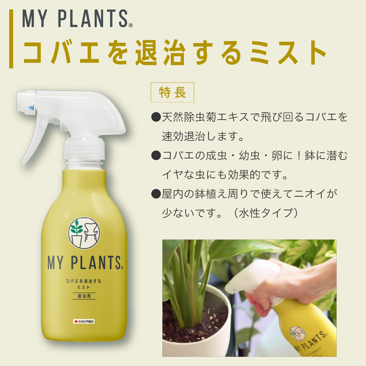 ワイズライフの殺虫剤 MY PLANTS コバエを退治するミスト 250ml KINCHO園芸 殺虫剤 コバエ 殺虫剤 コバエ殺虫剤 園芸用 コバエ 殺虫剤 コバエ 退治 コバエ 対策｜アングル2