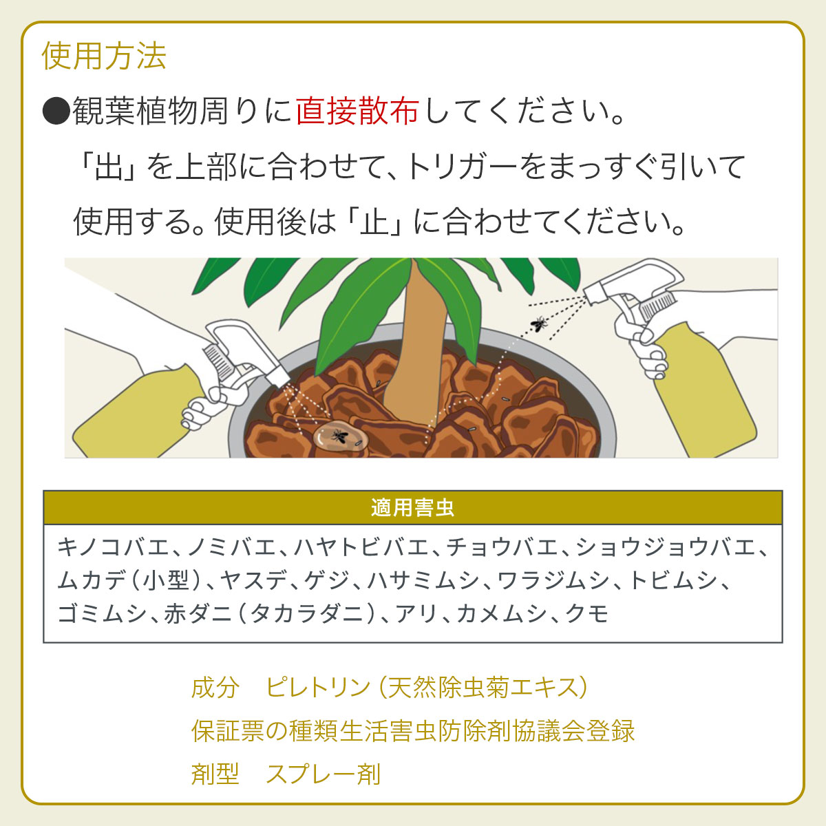 ワイズライフの殺虫剤 MY PLANTS コバエを退治するミスト 250ml KINCHO園芸 殺虫剤 コバエ 殺虫剤 コバエ殺虫剤 園芸用 コバエ 殺虫剤 コバエ 退治 コバエ 対策｜アングル3