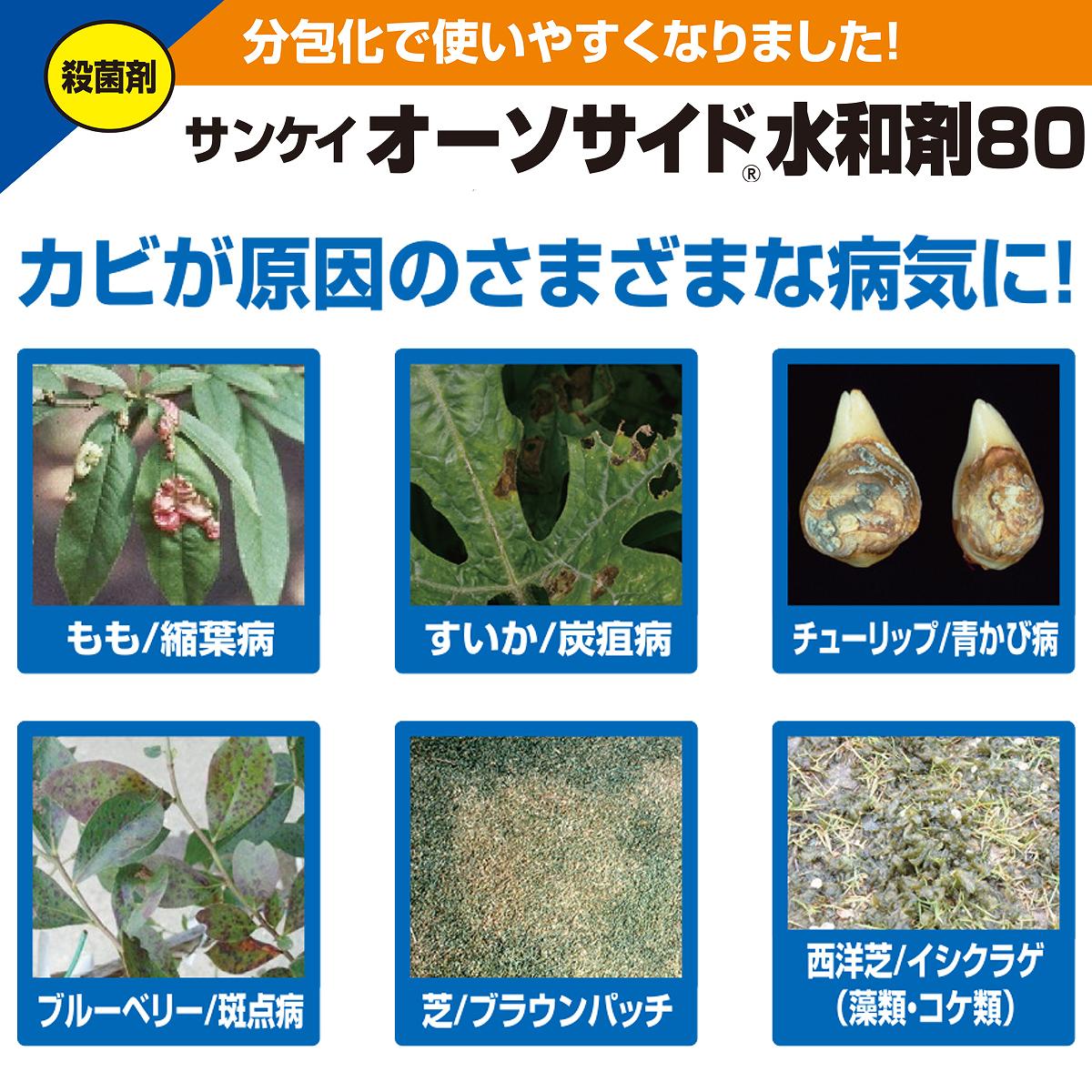 ���󥱥� �����������ɿ��º�80 2g��10�� KINCHO��� ��ʪ ���ݺ� ���� ���ݺ� ��� ���ݺ� ���� �µ� ͽ�� ���� �µ� �к� ����ץ�����º� ���� ���ݺ� M6