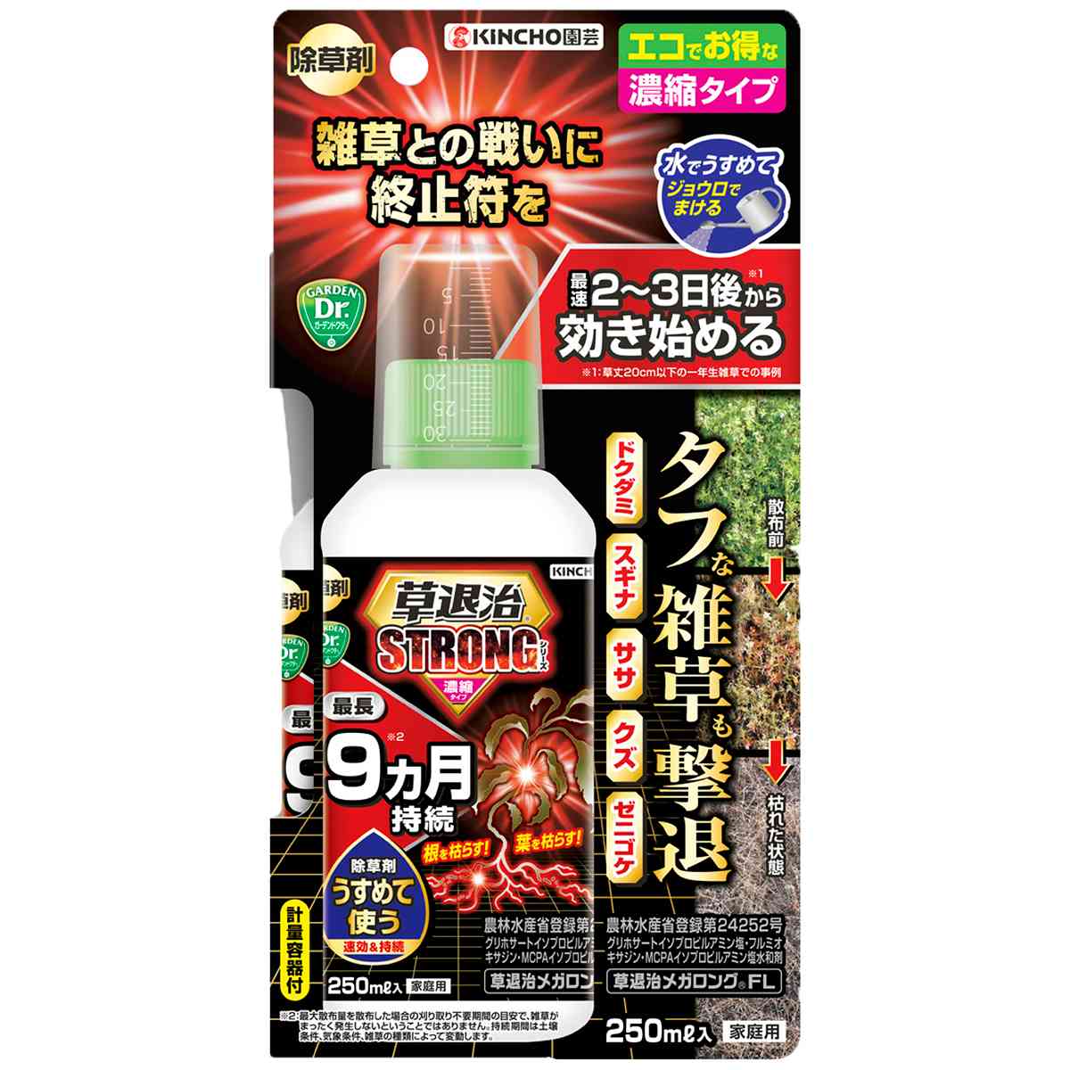 除草剤 草退治ストロング 濃縮タイプ 250ml KINCHO園芸 除草剤 強力 除草剤 グリホ...
