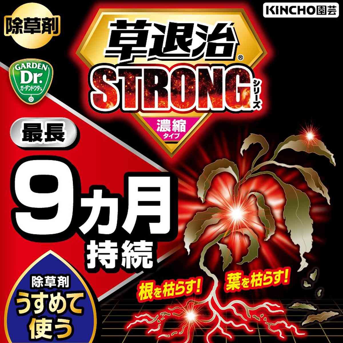 除草剤 草退治ストロング 濃縮タイプ 250ml KINCHO園芸 除草剤 強力 除草剤 グリホ...