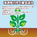 wiselife:10021864のサンプル画像3
