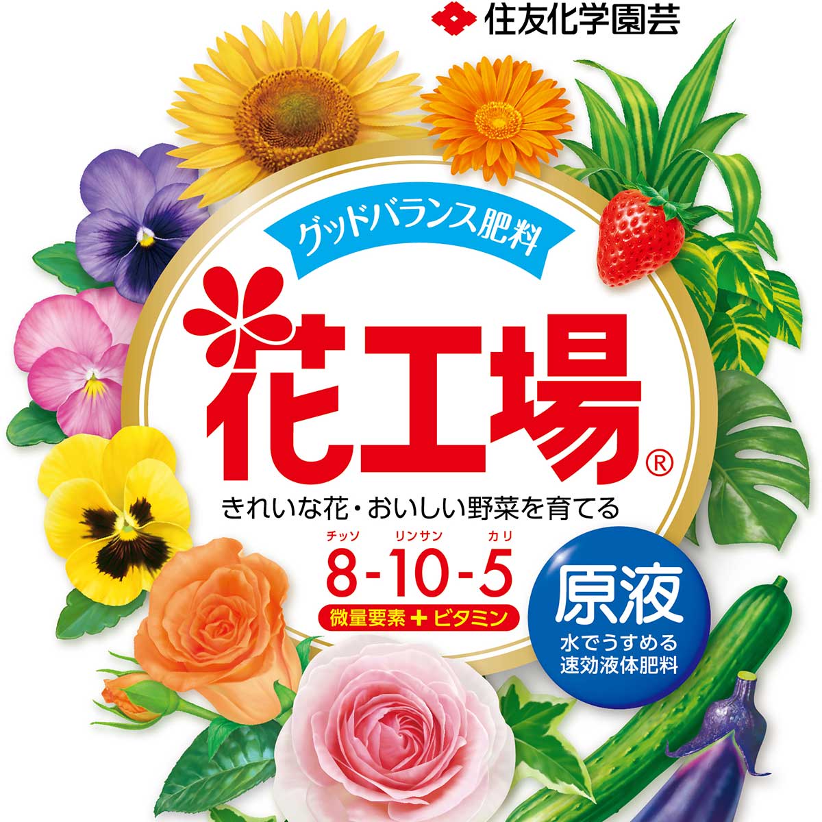 肥料 花工場 原液 1200ml×12本 KINCHO園芸 肥料 野菜 肥料 花 肥料 野菜肥料 液肥 野菜 液肥 花 液肥 液体肥料 野菜 液体肥料 花 液体肥料 野菜の肥料 2