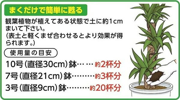 ���տ�ʪ���ޤ�������ᴤ� 1.2L �������Ѳʳ� ��������� �ھ����ɺ� ���տ�ʪ �ھ����ɺ� �� �ꥵ������� �ڤΥꥵ������� ��Ϥ����� �����������