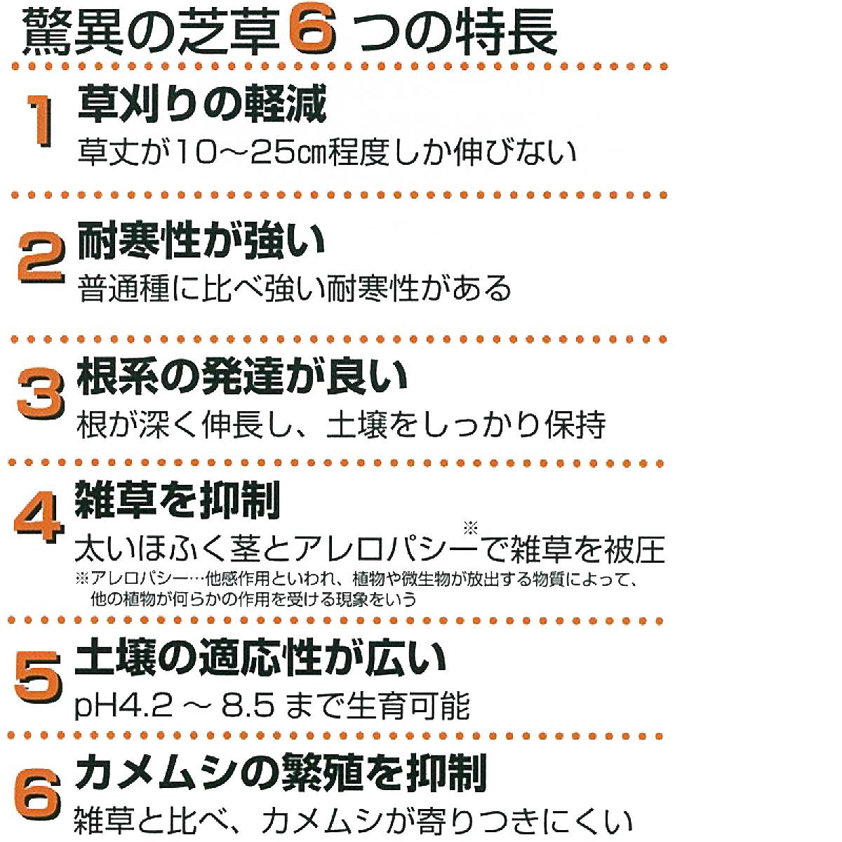 芝草 センチピードグラス ティフ・ブレア ピット苗 200穴トレー×4個セット タキイ...
