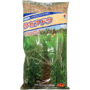 芝種 ワセフドウ 1kg タキイ種苗 芝生の種 芝の種 芝 種 芝 種子 芝生 種 芝生 種子 牧草 種 牧草 種子 芝生 業務用 種子 芝 業務用 種